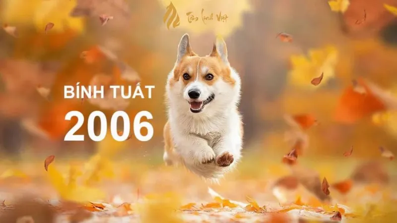 Tuổi Bính Tuất 2006 Nữ Mạng